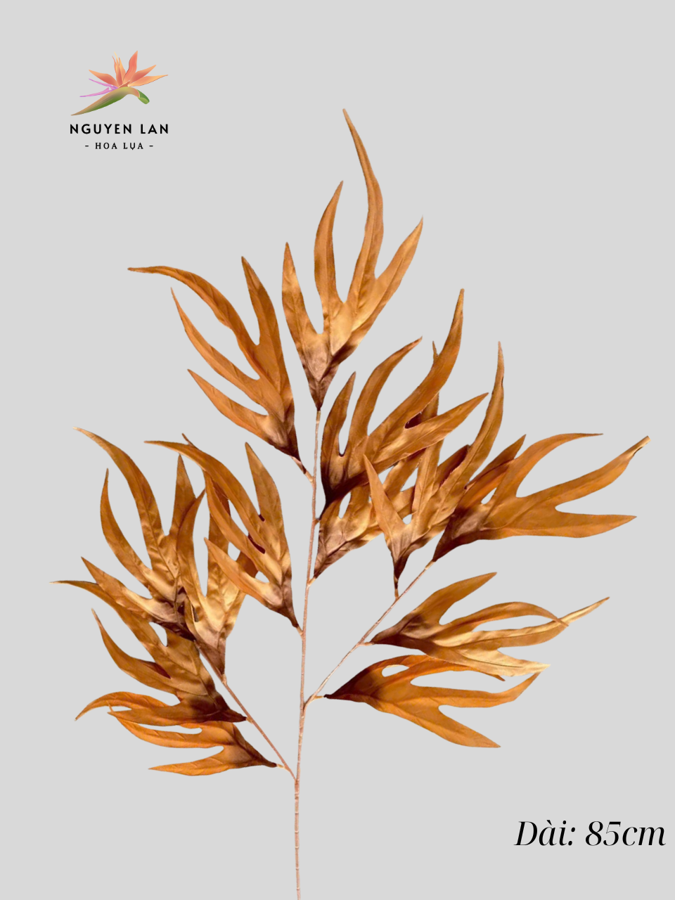 Phật Thủ - Ảnh 2