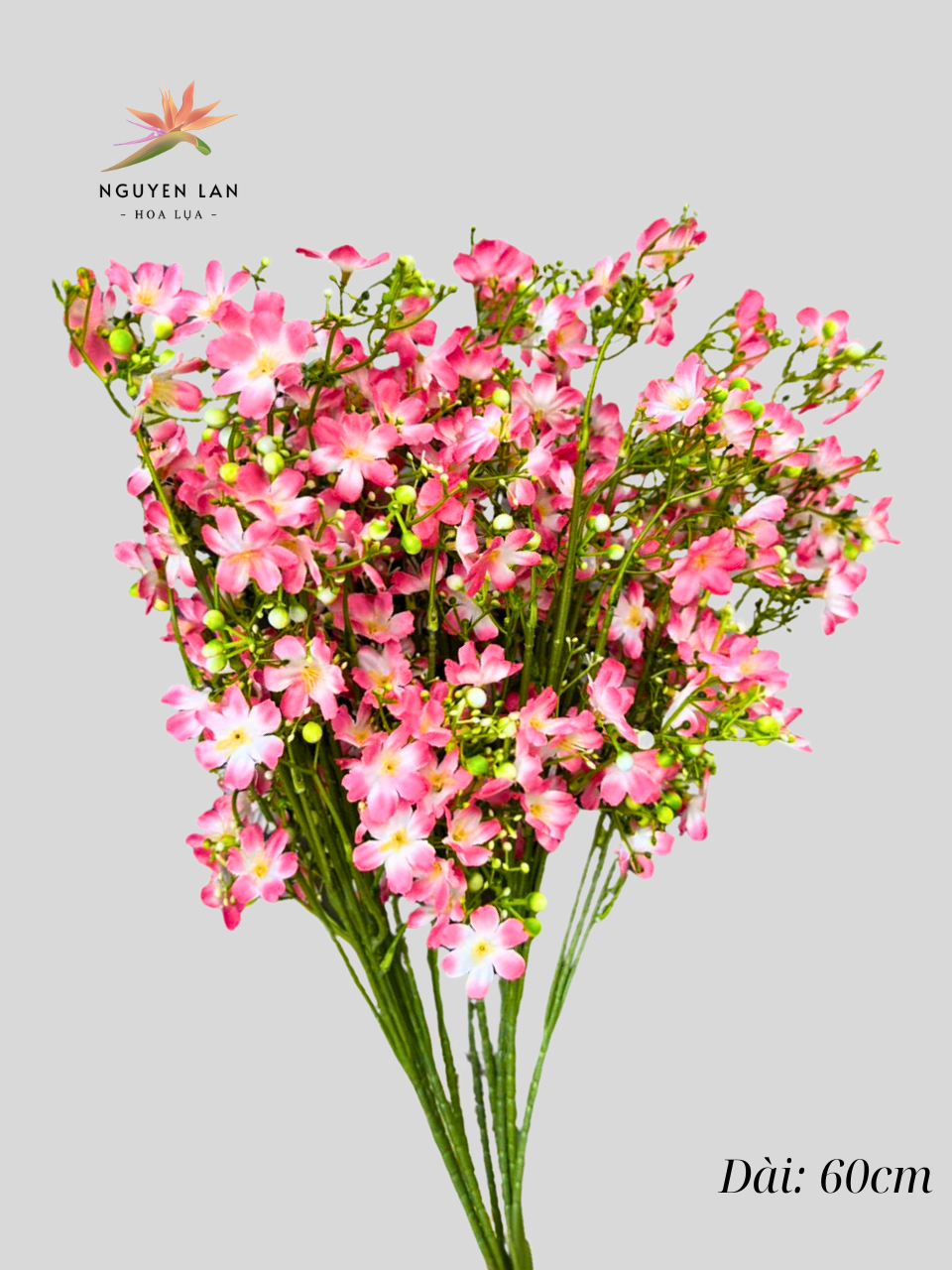 Mai Nhí - Ảnh 5